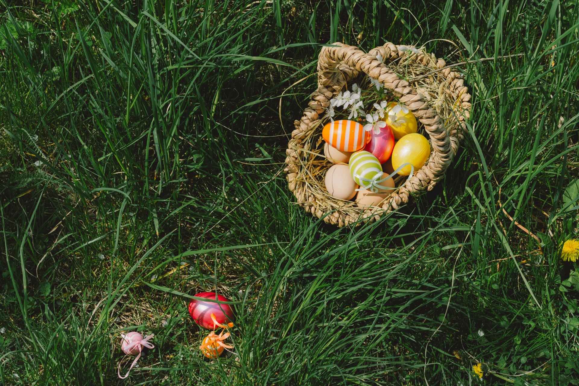An Easter Basket sitting in green grass, filled with Easter Eggs.
